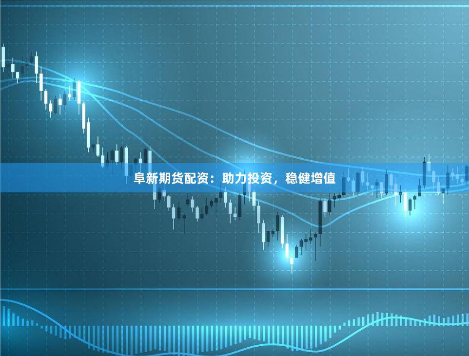 阜新期货配资：助力投资，稳健增值